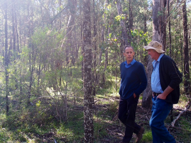 Leard_Forest_1.JPG