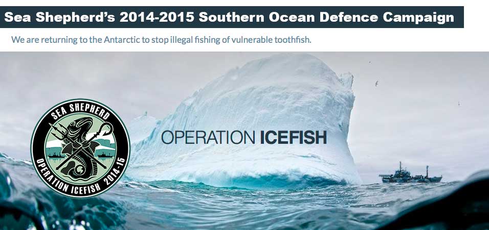 Sea Shepherd Operation Icefish