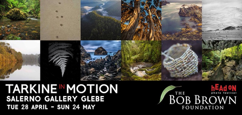 Tarkine_in_Motion_Head_On_flyer_-_small.jpg