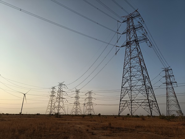 'A maze of wires' for the birds, including several rare or threatened species, to navigate.