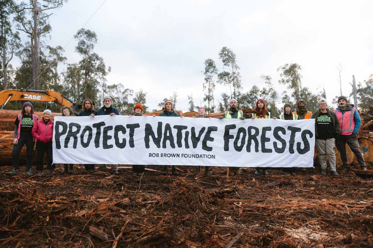 Descriptive Alt Text