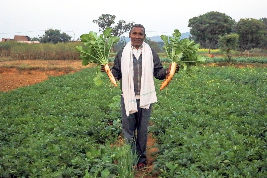 ‘Have you ever seen radishes this big?’ asks Chaita Mahto, whose fertile lands have been earmarked for coal mining. Image by the author