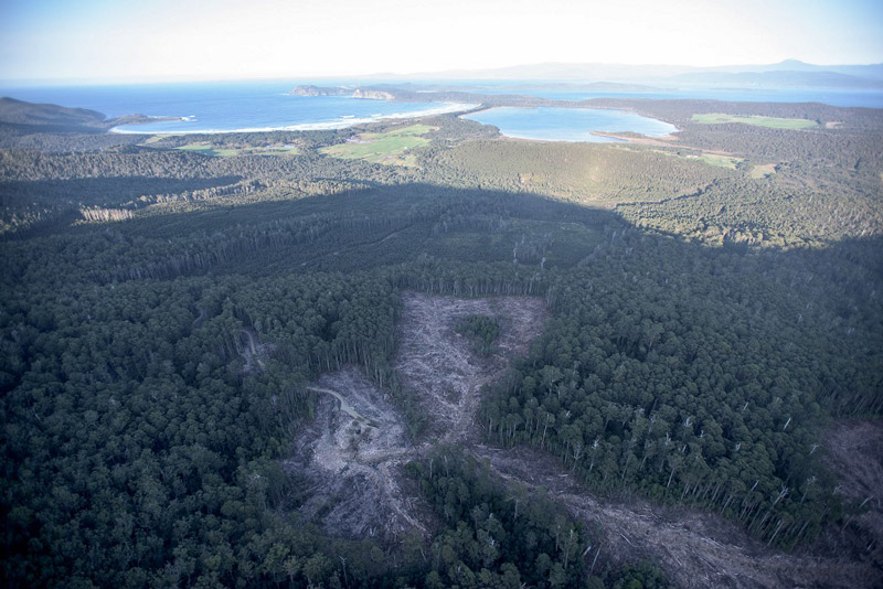 Bruny-logging-October-2015-1-Bob-Brown-Foundation-small.jpg