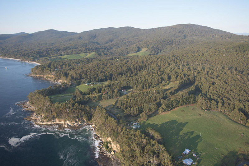 Bruny-logging-October-2015-2-Bob-Brown-Foundation-small.jpg