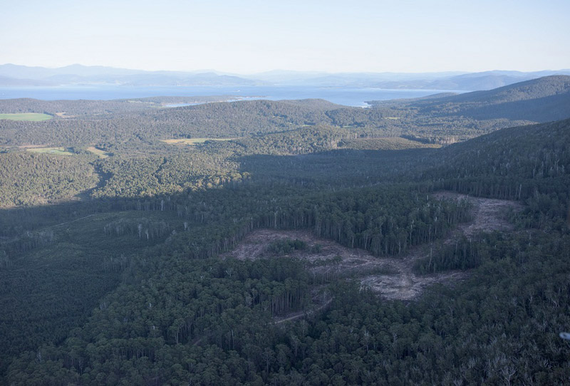 Bruny-logging-October-2015-3-Bob-Brown-Foundation-small.jpg