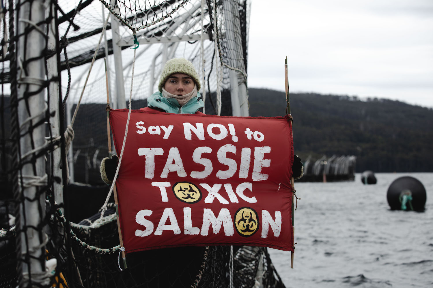 Say no to toxic salmon