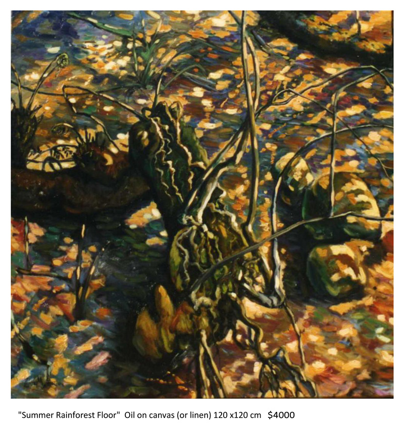 Summer-Rainforest-Floor.jpg