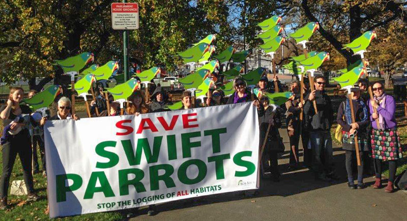 Swift_demo1_16-05-30_smaller.jpg
