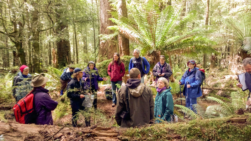 Plants---forests-small.jpg
