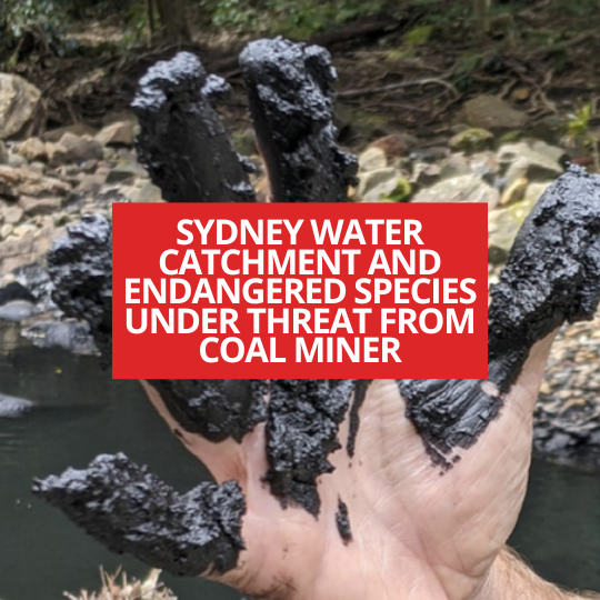 VALUABLE SYDNEY WATER CATCHMENT AND ENDANGERED SPECIES UNDER THREAT FROM COAL MINER 