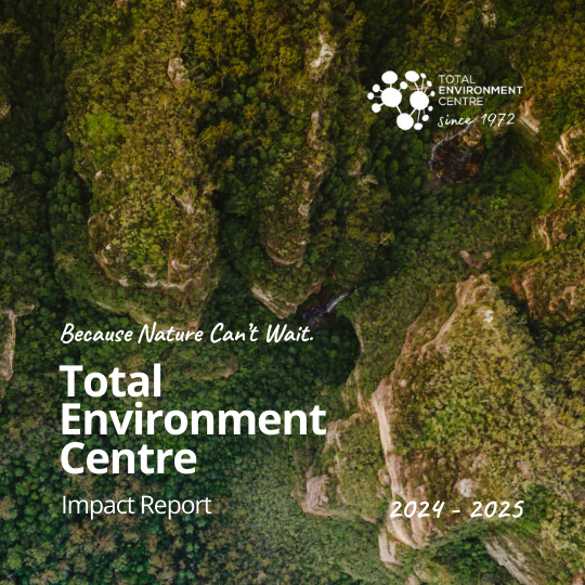 Impact Report 2024-2025