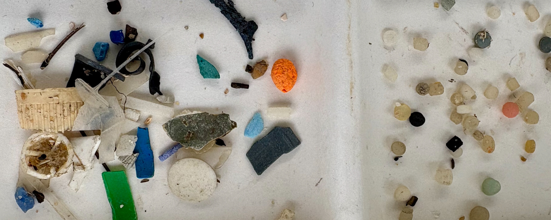Microplastic Too Big To Ignore