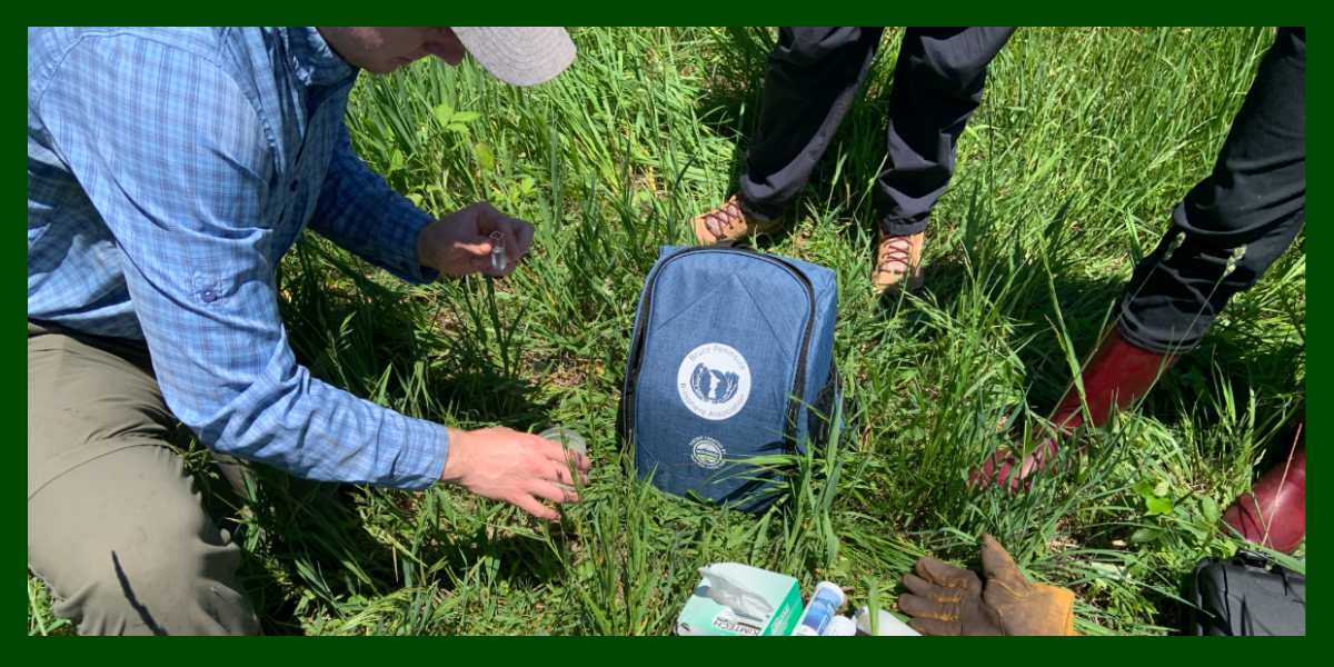 Environmental Technicians looking at a water sampling kit in the grass