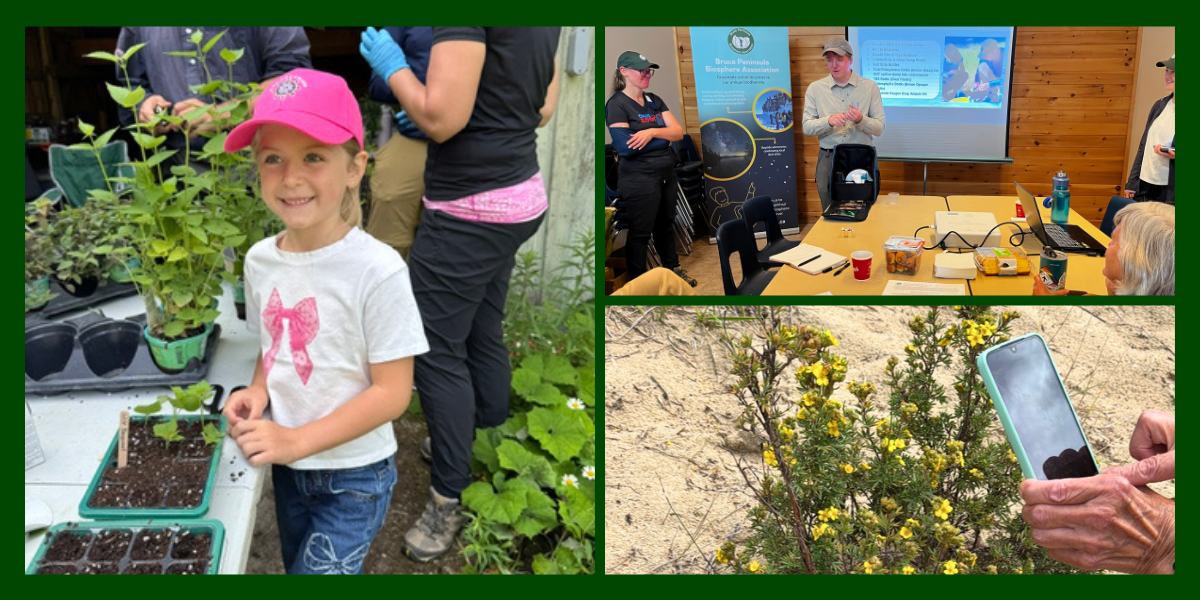 Collage of images of outreach activities at the Biosphere