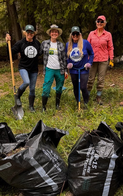 Volunteers_Pulling_Periwinkle.jpg