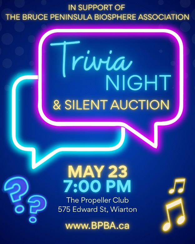 Trivia_Night___Silent_Auction_May_23.jpg