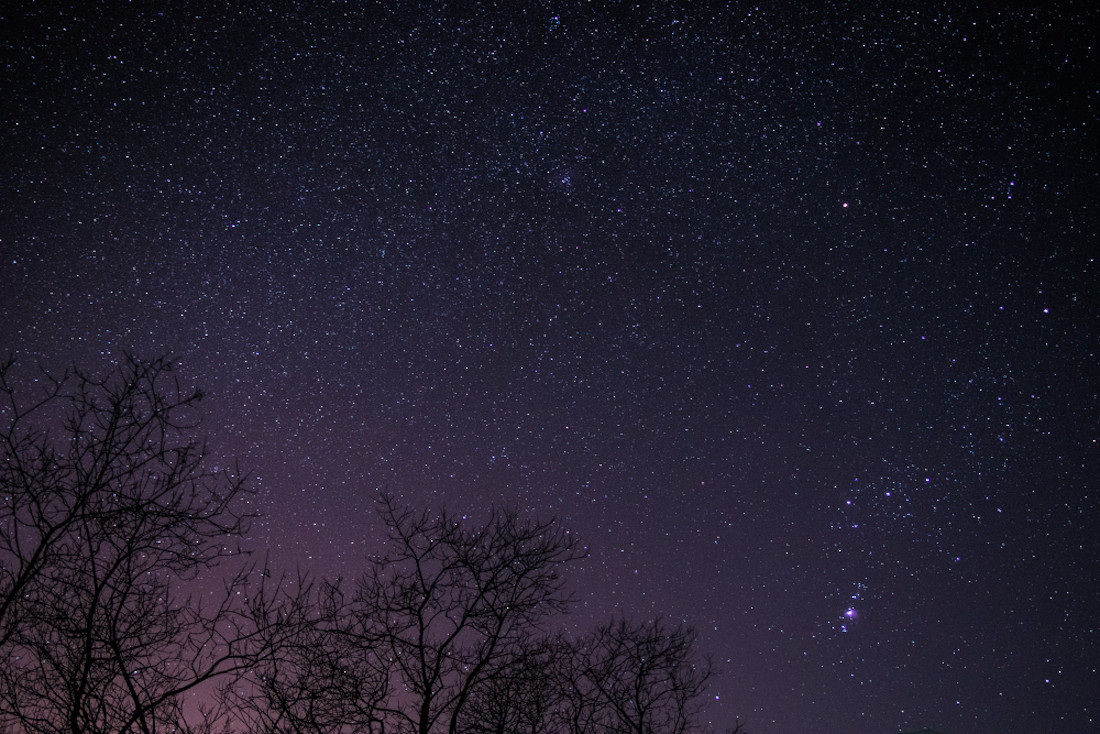 If the evening is clear, discover some late winter celestial sights in our incredible Dark Sky Preserve.