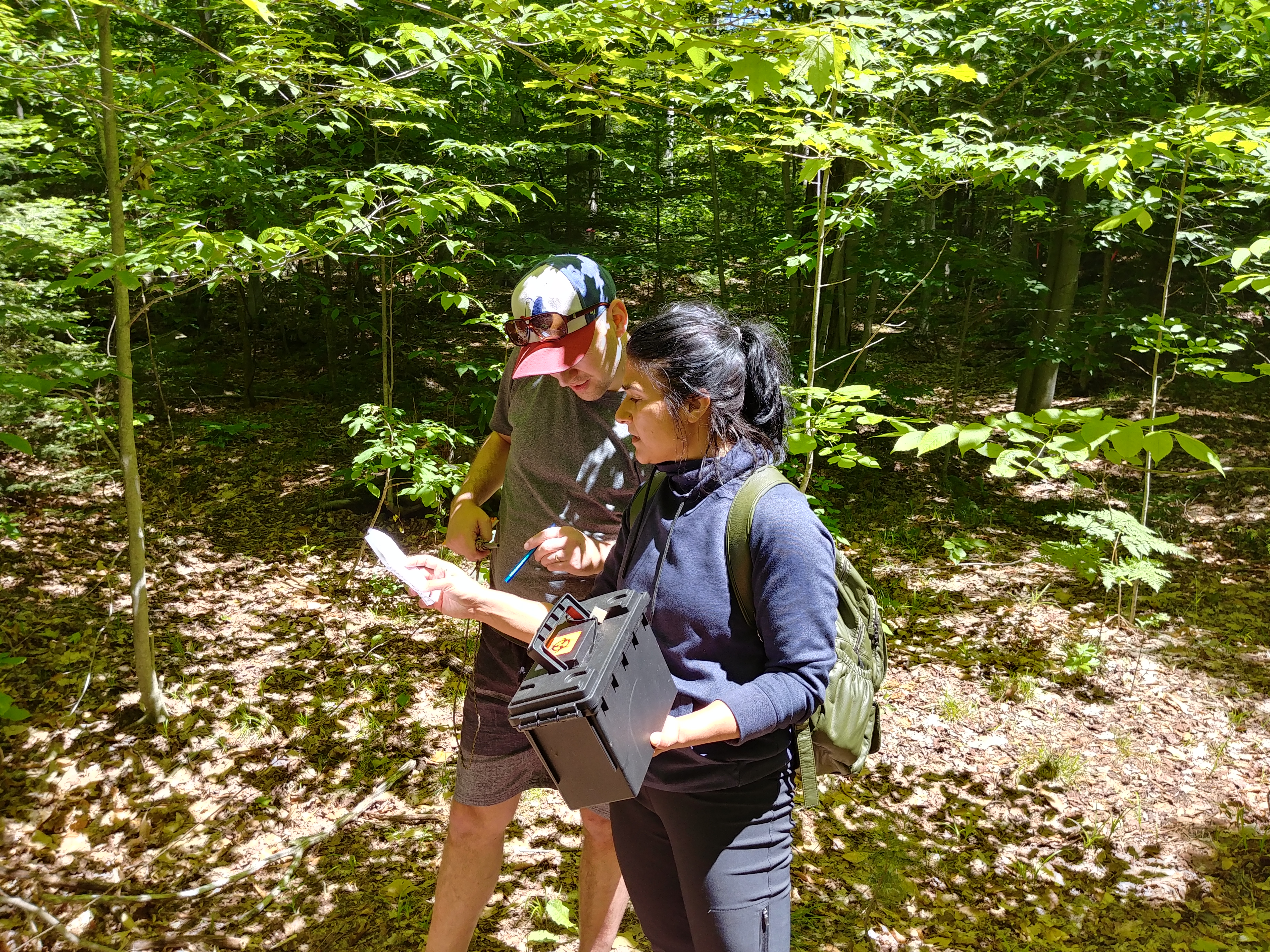 Couple Solving Clues at an EcoAdventures Outdoor Escape Room