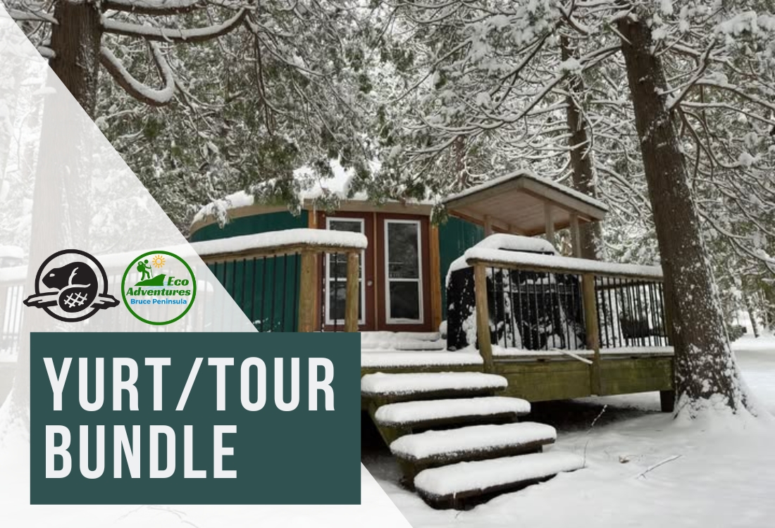Yurt & Adventure Bundle