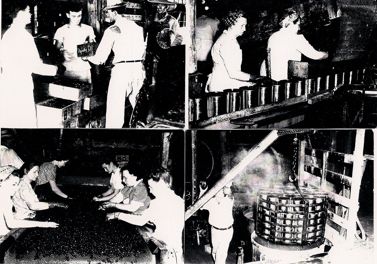 Union Canning Factory