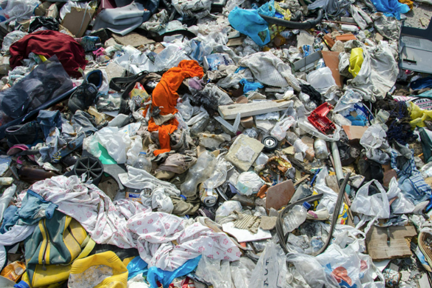 ADD YOUR NAME: Bin This Rubbish Tax