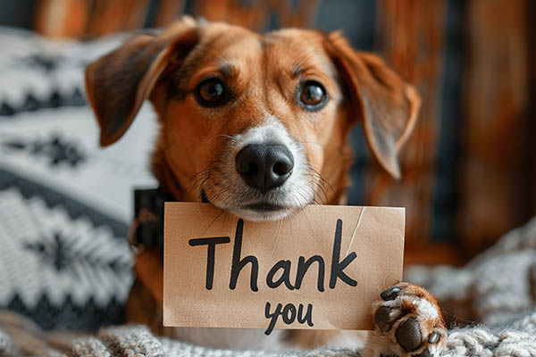Thank you!