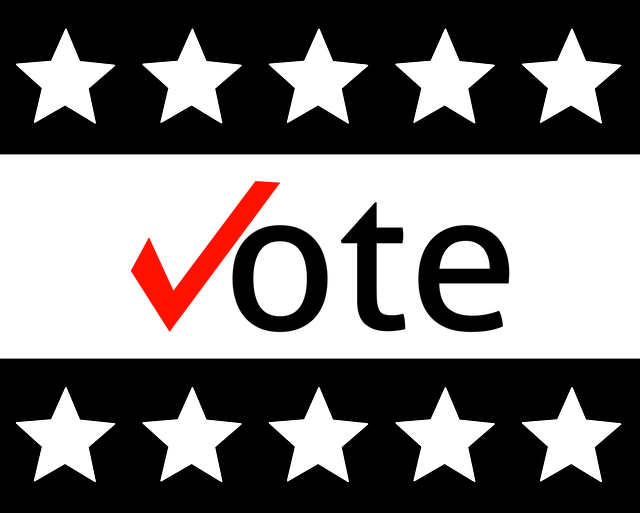 Red_check_on_black_and_white_vote-g66cae8621_640.png