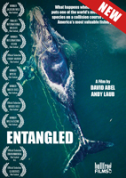 ENTANGLED