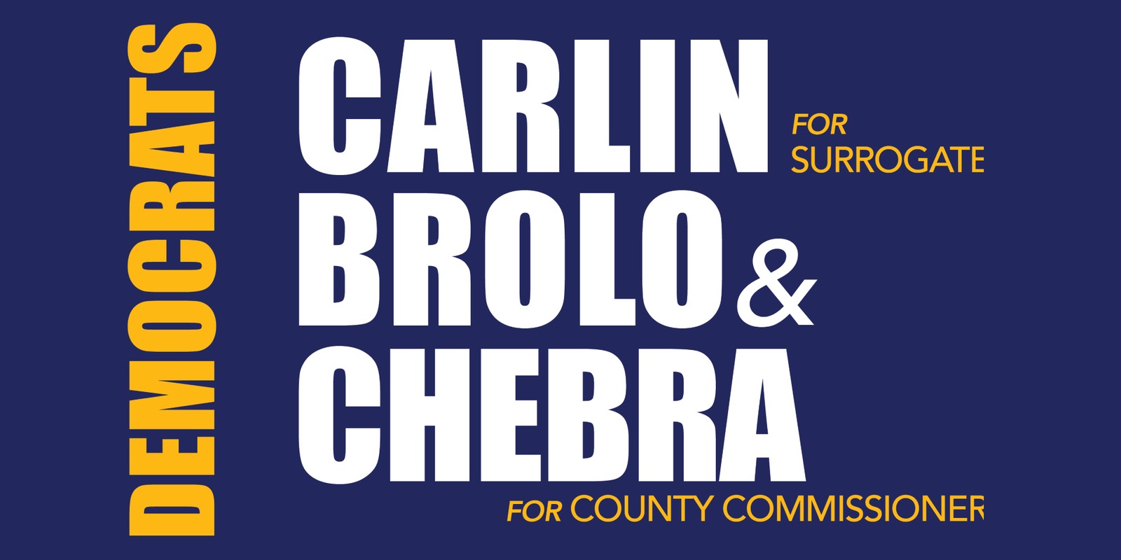Carlin for Surrogate, Brolo and Chebra for County Commissioner