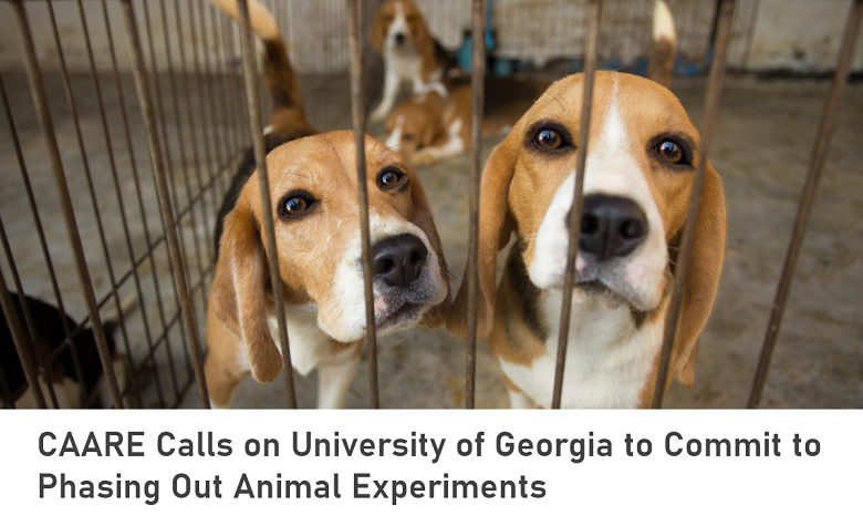 UGA_ltr_headline.png