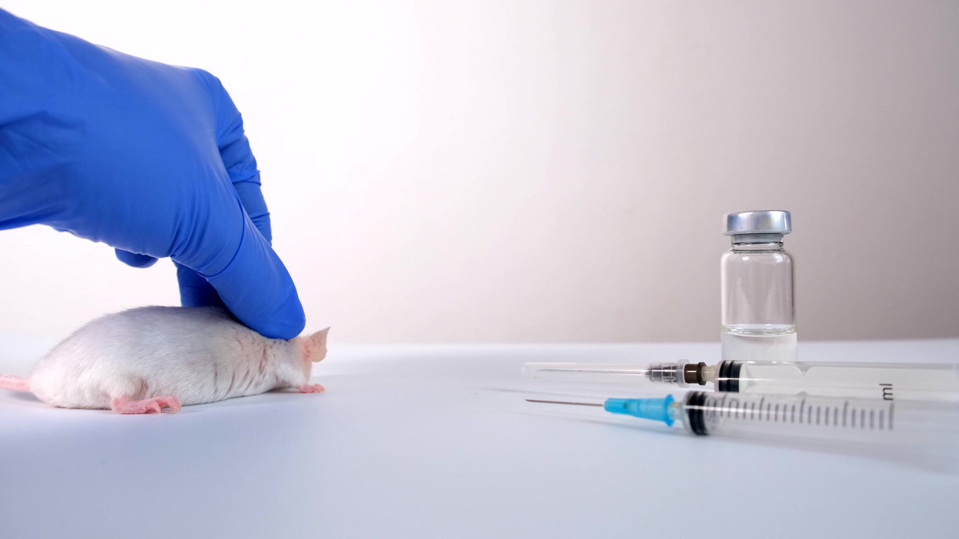 mouse_syringes.jpg