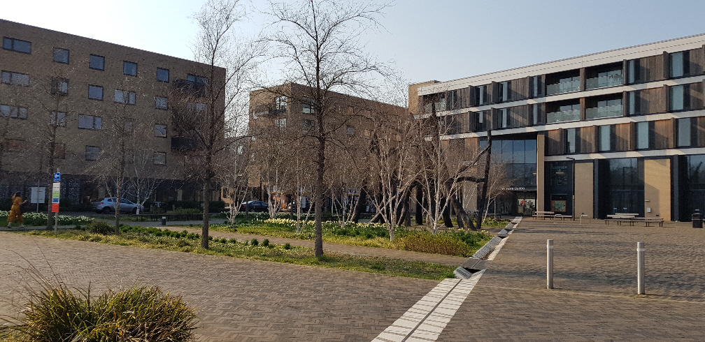 Hobson_Square_empty_sm.jpg