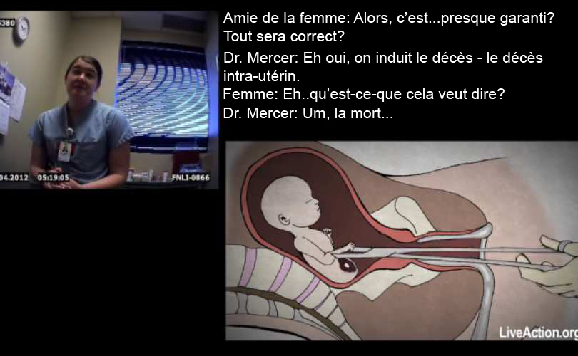 Viral_Video_1_French.jpg