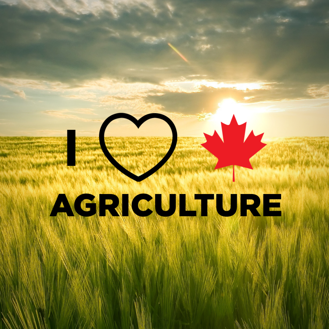 Buy Canadian Food Canada Action