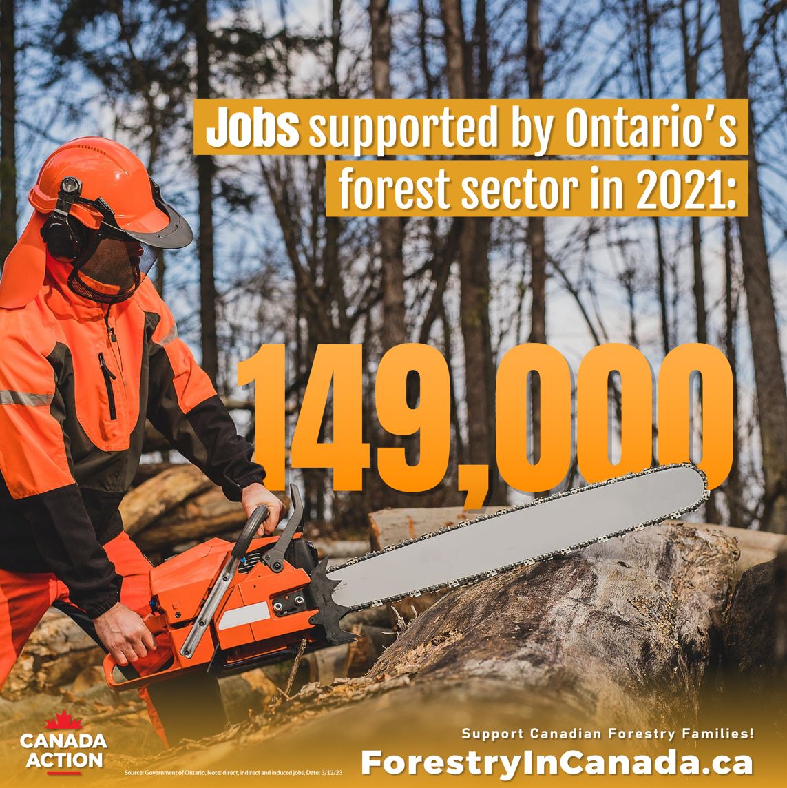 Forestry in Ontario 20 Facts Canada Action
