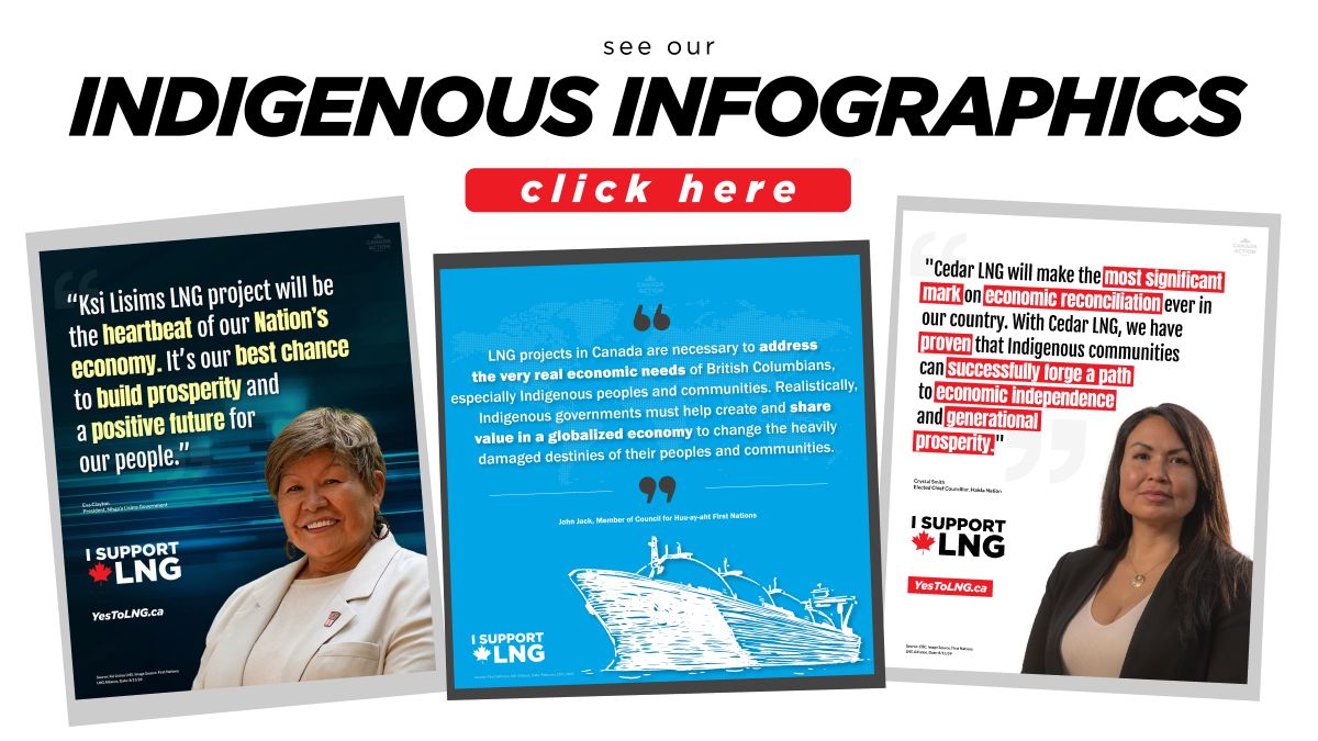 Indigenous infographics - Canada Action banner