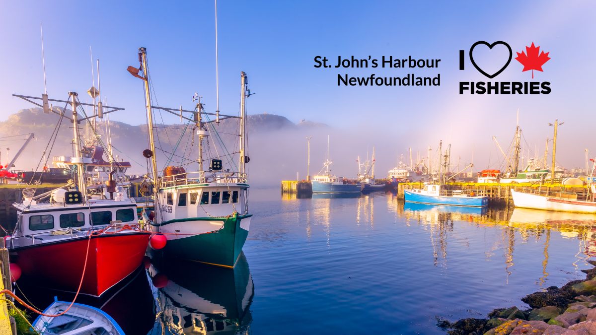 Aquaculture and Farming in Newfoundland & Labrador -- Facts & Statistics cover-01