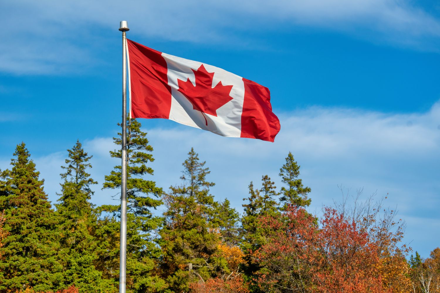 Canada Infographics