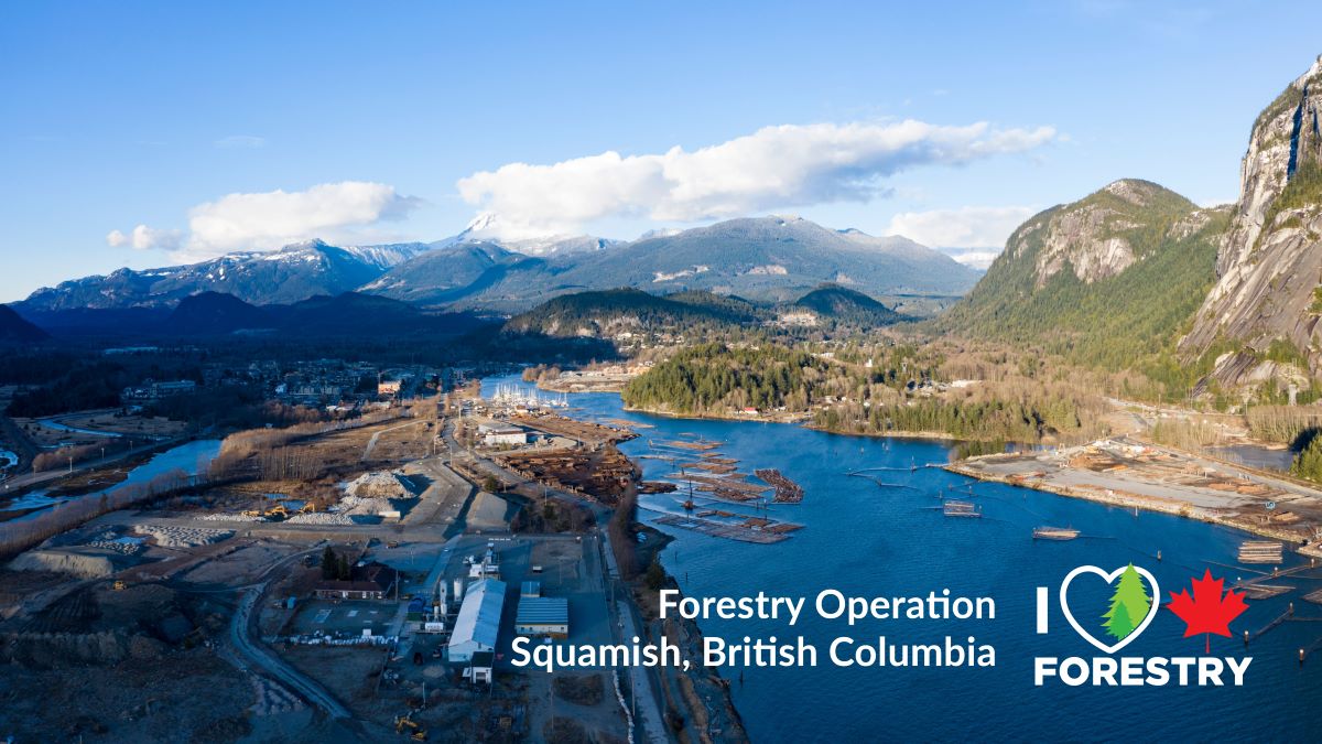 Forestry in British Columbia Facts cover