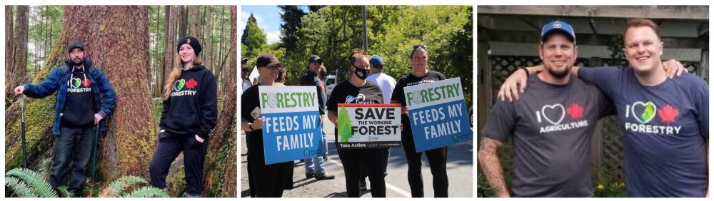 Canadian forestry banner feb 2025