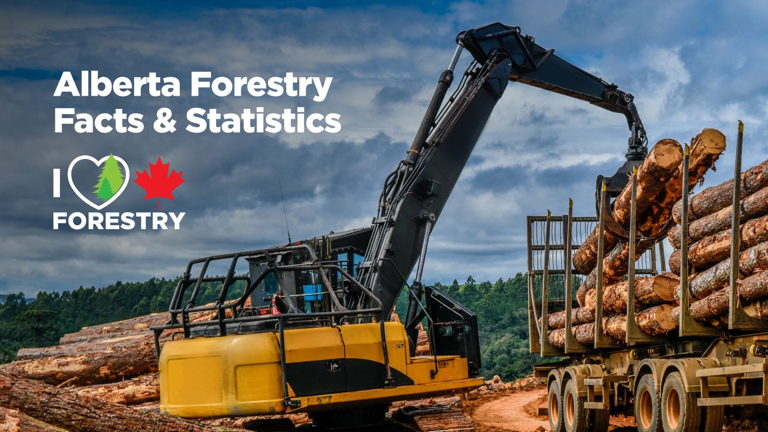 Alberta forestry facts and statistics