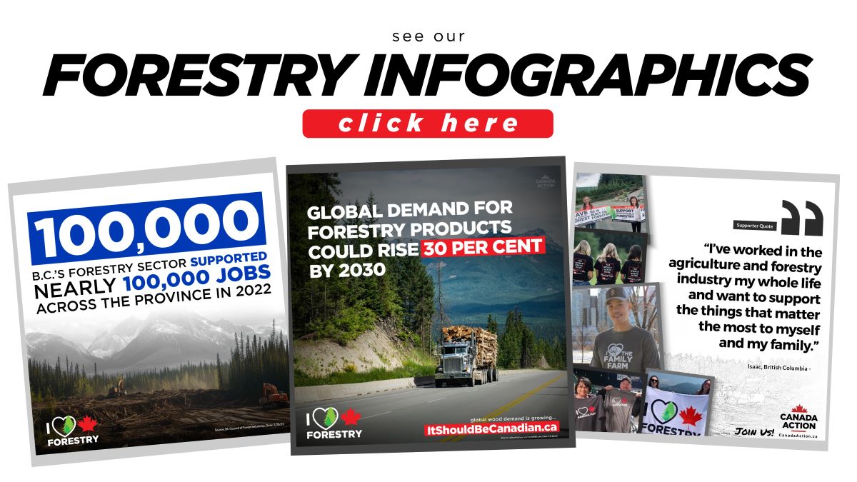 Canada Action - Forestry Infographics banner