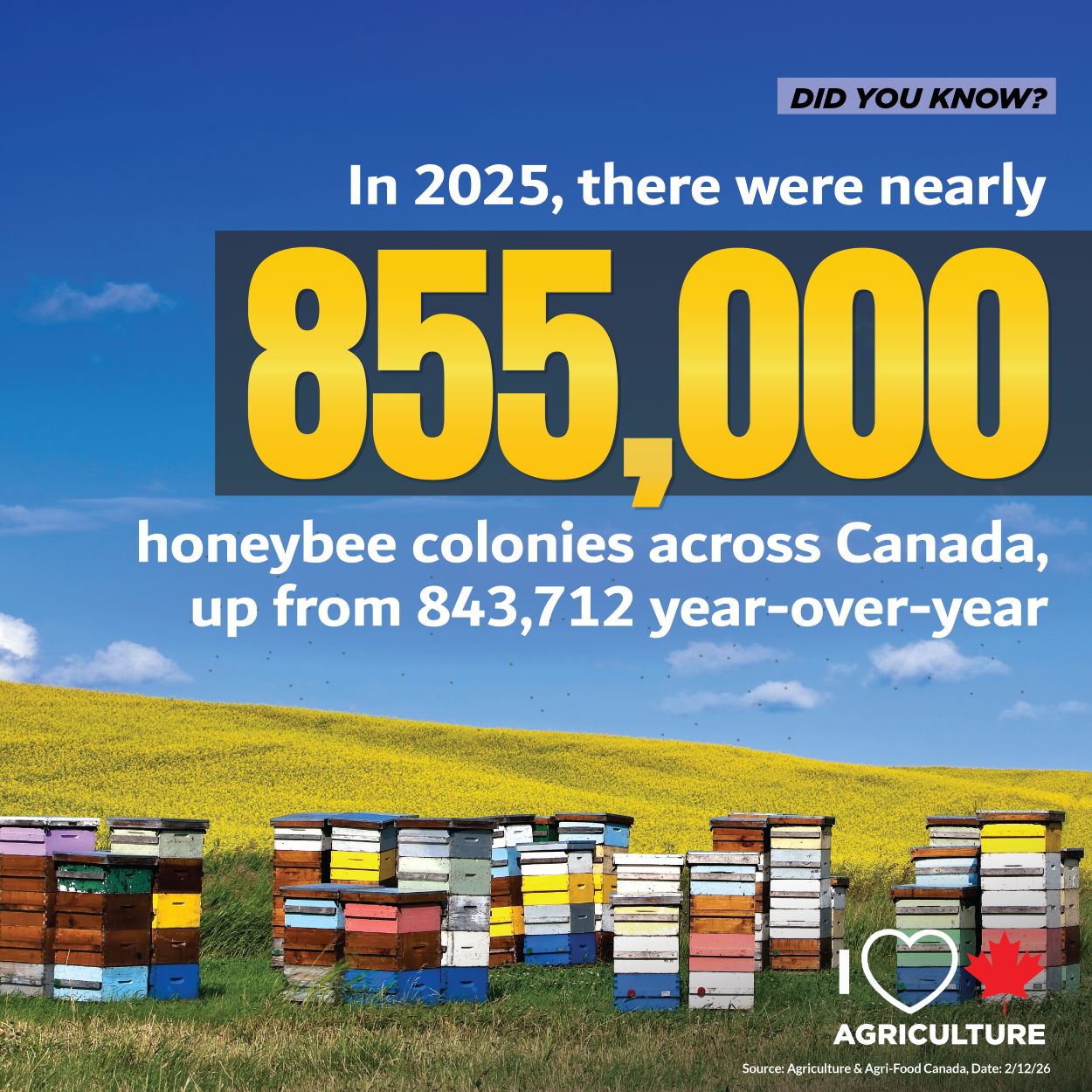 Canada is home to more than 855,000 honeybee colonies, up from 843,700 in 2024