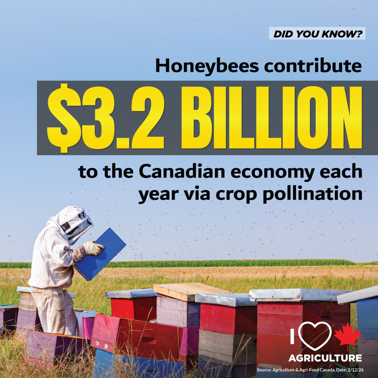Honeybees contribute 3.2 billion in GDP annually to the Canadian economy via pollination