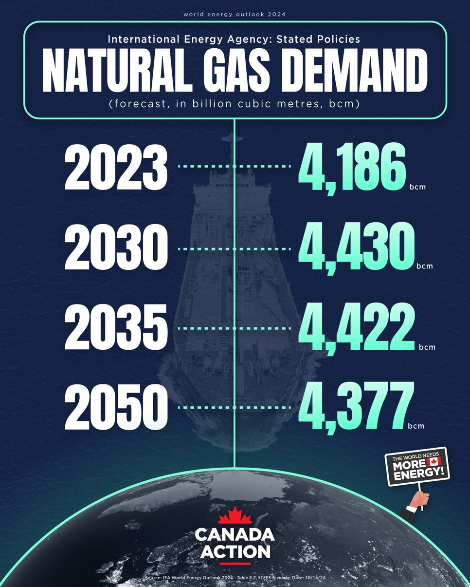 International Energy Agency - Global Natural Gas Demand Outlook WEO 2024