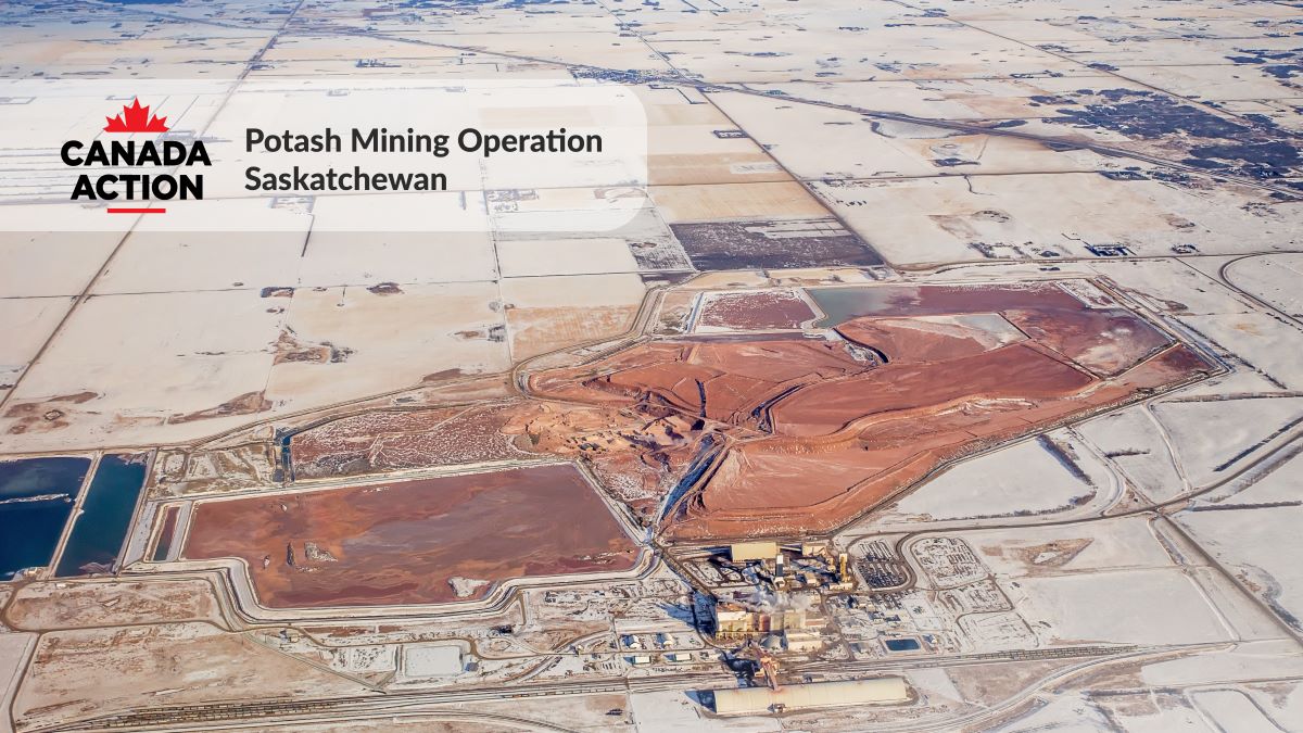 How Much Will global Potash Demand Grow by 2050