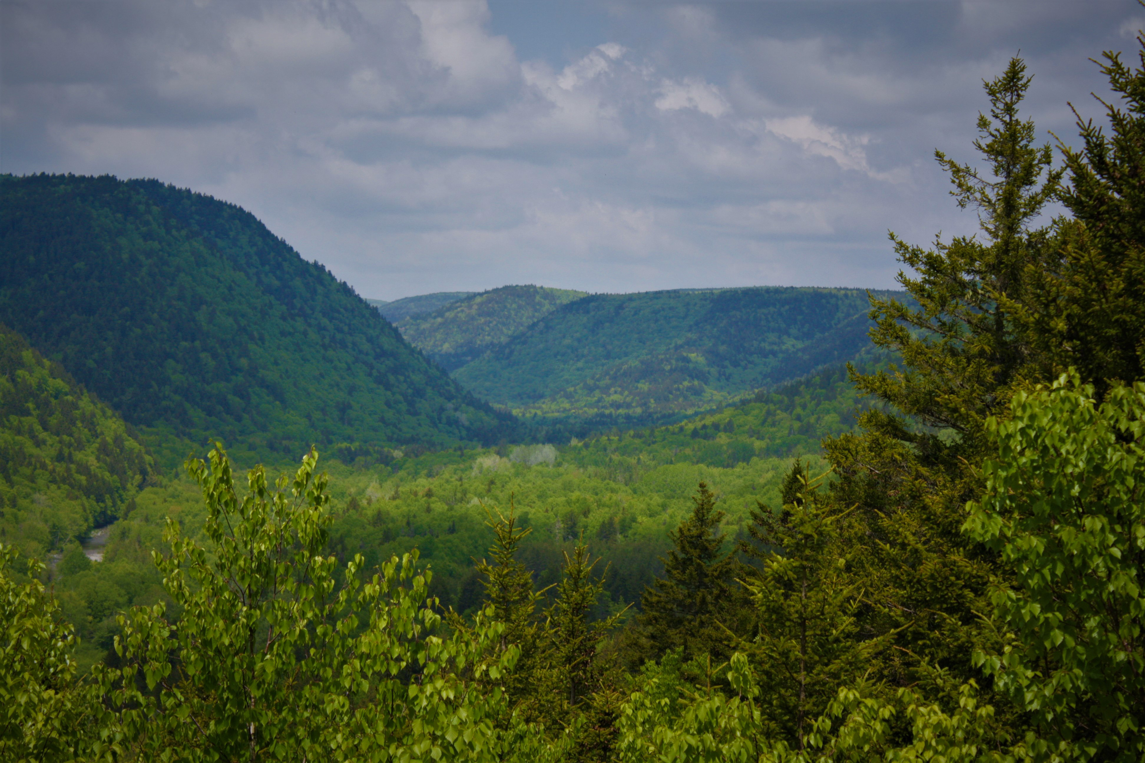 Caledonia Gorge, New Brunswick