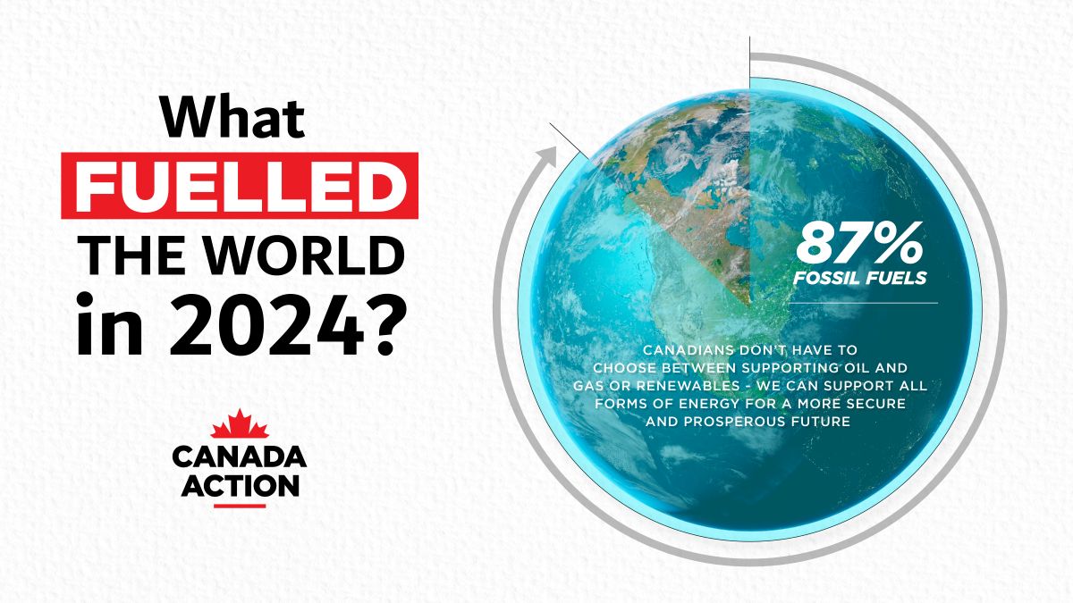 What Fuelled the World in 2024? Fossil Fuels!