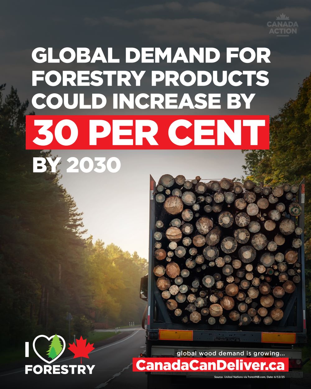 Global wood demand could grow 30% by 2030 says United Nations