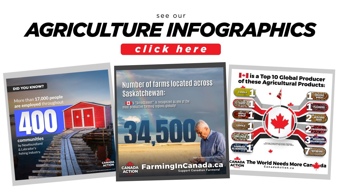 Canadian agriculture infographics banner